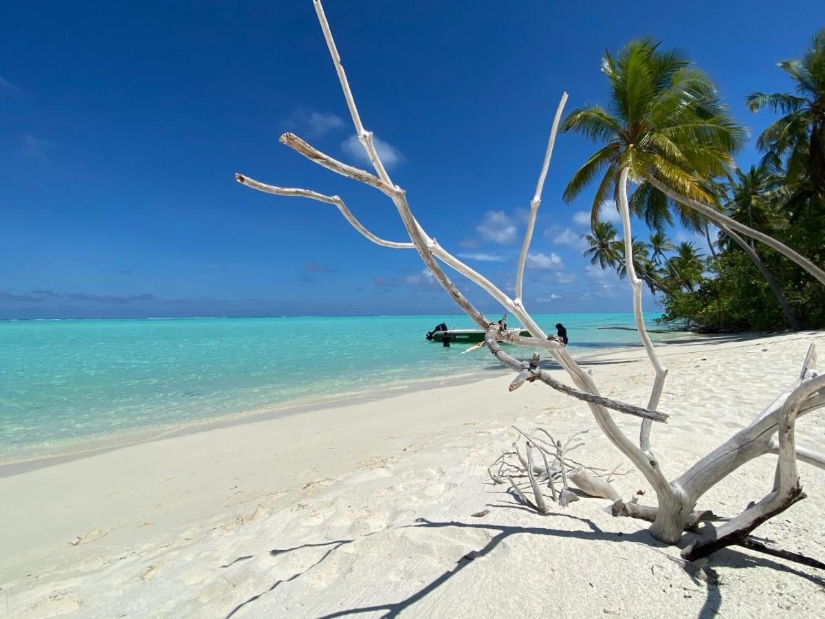 Alimas Holiday Retreat Maldives Felidhu Eksteriør billede